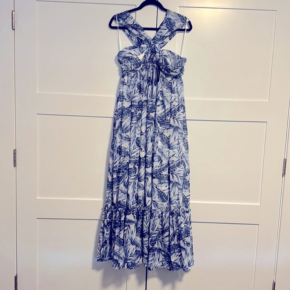 Petalroz Maxi dress